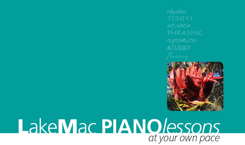 lakeMac piano lessons at your own pace