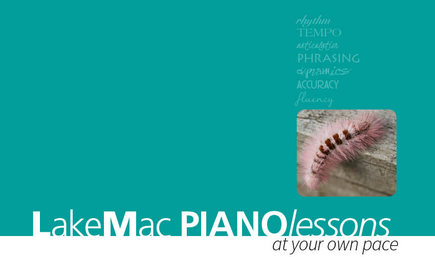 lakeMac piano lessons at your own pace