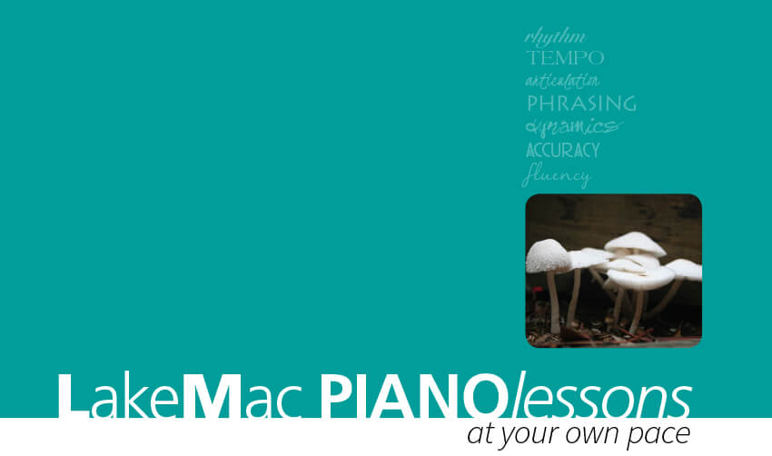 lakeMac piano lessons at your own pace